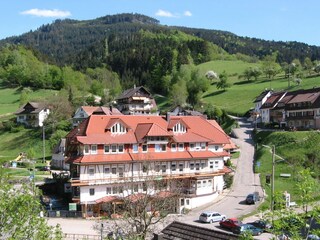 Apartamento de vacaciones Bad Peterstal-Griesbach Características 14