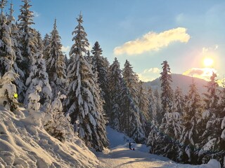 Appartamento per vacanze Bad Peterstal-Griesbach Ambiente 30