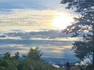 Appartamento per vacanze Bad Peterstal-Griesbach Ambiente 31