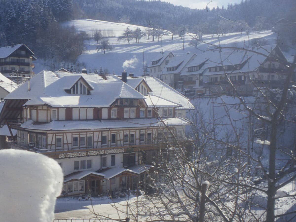 Winter im Schwarzwald