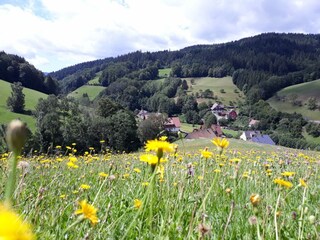 Apartamento de vacaciones Bad Peterstal-Griesbach Entorno 18
