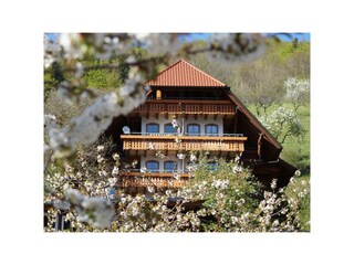 Apartamento de vacaciones Bad Peterstal-Griesbach Entorno 19