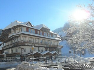 Vakantieappartement Bad Peterstal-Griesbach Buitenaudio-opname 4