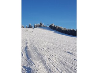 Apartamento de vacaciones Bad Peterstal-Griesbach Entorno 17