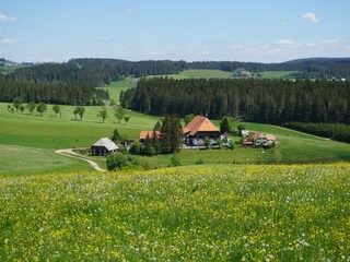 Apartamento de vacaciones Bad Peterstal-Griesbach Entorno 24