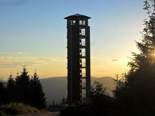 Appartamento per vacanze Bad Peterstal-Griesbach Ambiente 23