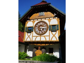 Apartamento de vacaciones Bad Peterstal-Griesbach Entorno 27