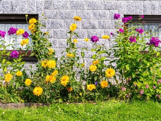 Appartamento Pöhla  38