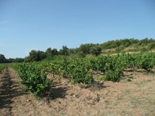 Apartment Avignon Umgebung 32