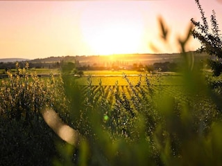 Apartment Avignon Umgebung 33