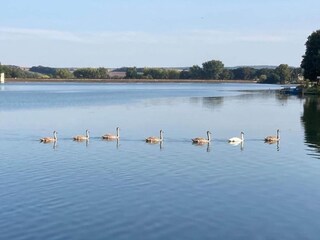 Apartamento Weida Entorno 29