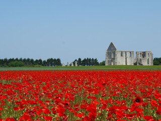 Villa La Flotte Ambiente 27