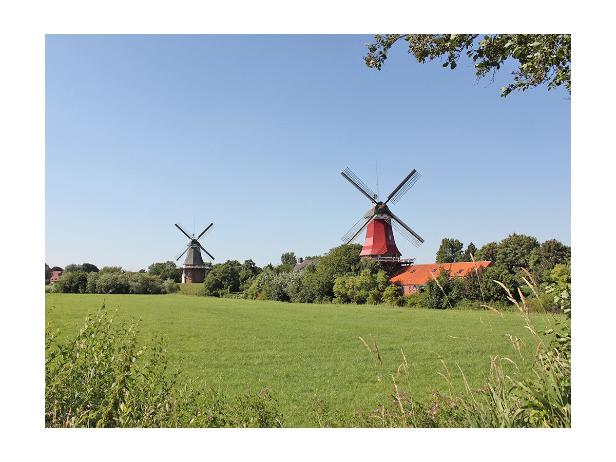 Blick auf die Zwillingsmühlen von Greetsiel