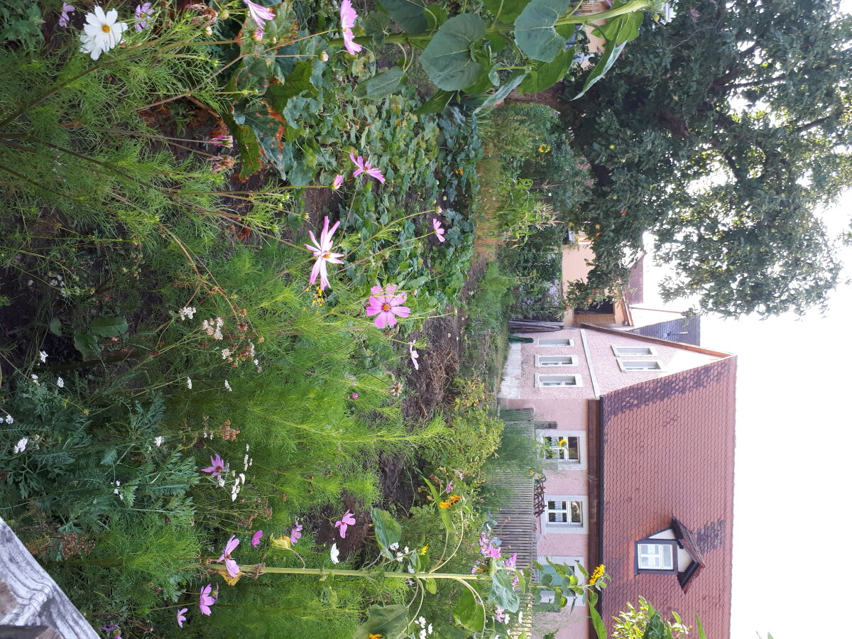 Garten des Bauernhofmuseums