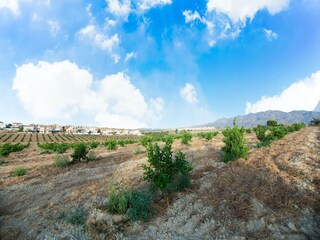 Vakantiehuis Bedar Omgeving 38