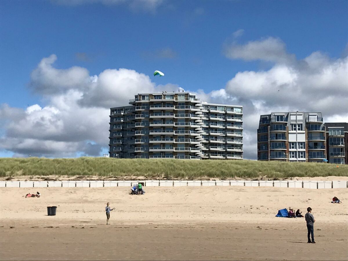 Holiday apartment Bergen aan Zee Outdoor Recording 1