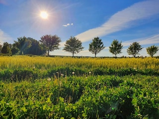 Natur
