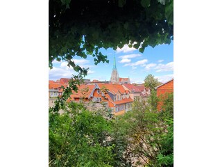 Über den Dächern Mühlhausens