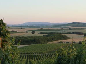 Ferienwohnung Alte Bürgermeisterei - Weinolsheim - image1