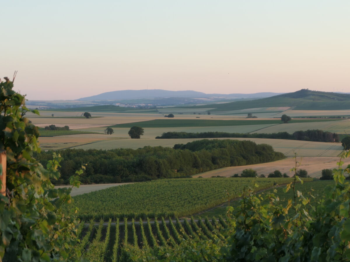 Holiday apartment Weinolsheim Outdoor Recording 1