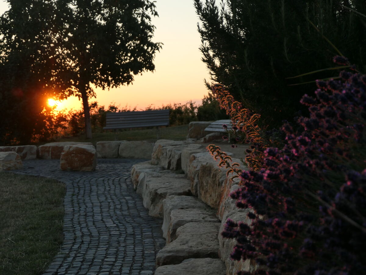 Weinbergsromantik