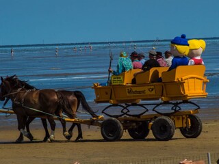 Wattwagen fahrt zur Insel Neuwerk