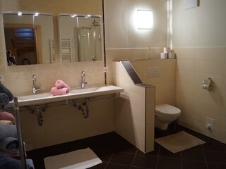 Casa per le vacanze Neumarkt am Wallersee Caratteristiche 14