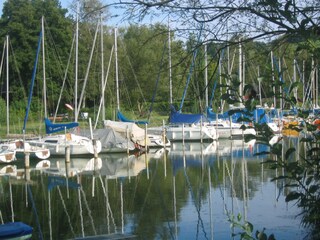 Casa per le vacanze Neumarkt am Wallersee Ambiente 21
