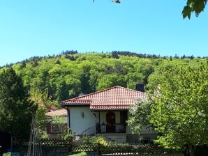 Ferienwohnung Fewo PETRA im Ilsetal - Ilsenburg - image1