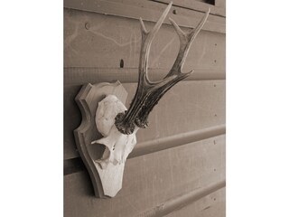 Holiday house Leinsweiler Features 24