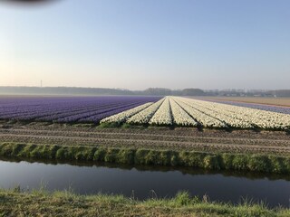 Casa per le vacanze Julianadorp Ambiente 34