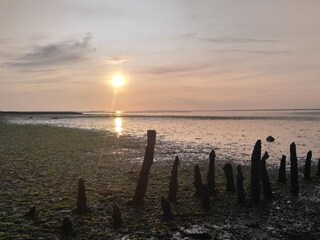 Appartamento per vacanze Carolinensiel Ambiente 28