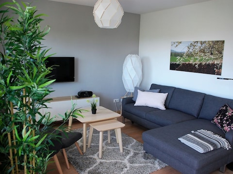 Ferienwohnung Frankens Mitte Nr. 2