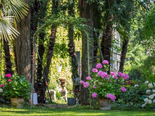 Casa per le vacanze Strassoldo Registrazione all'aperto 15