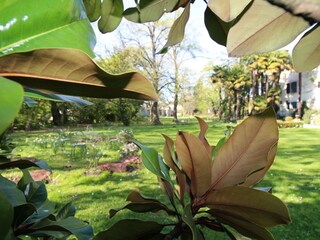 Schlosspark in der Nähe des Turms