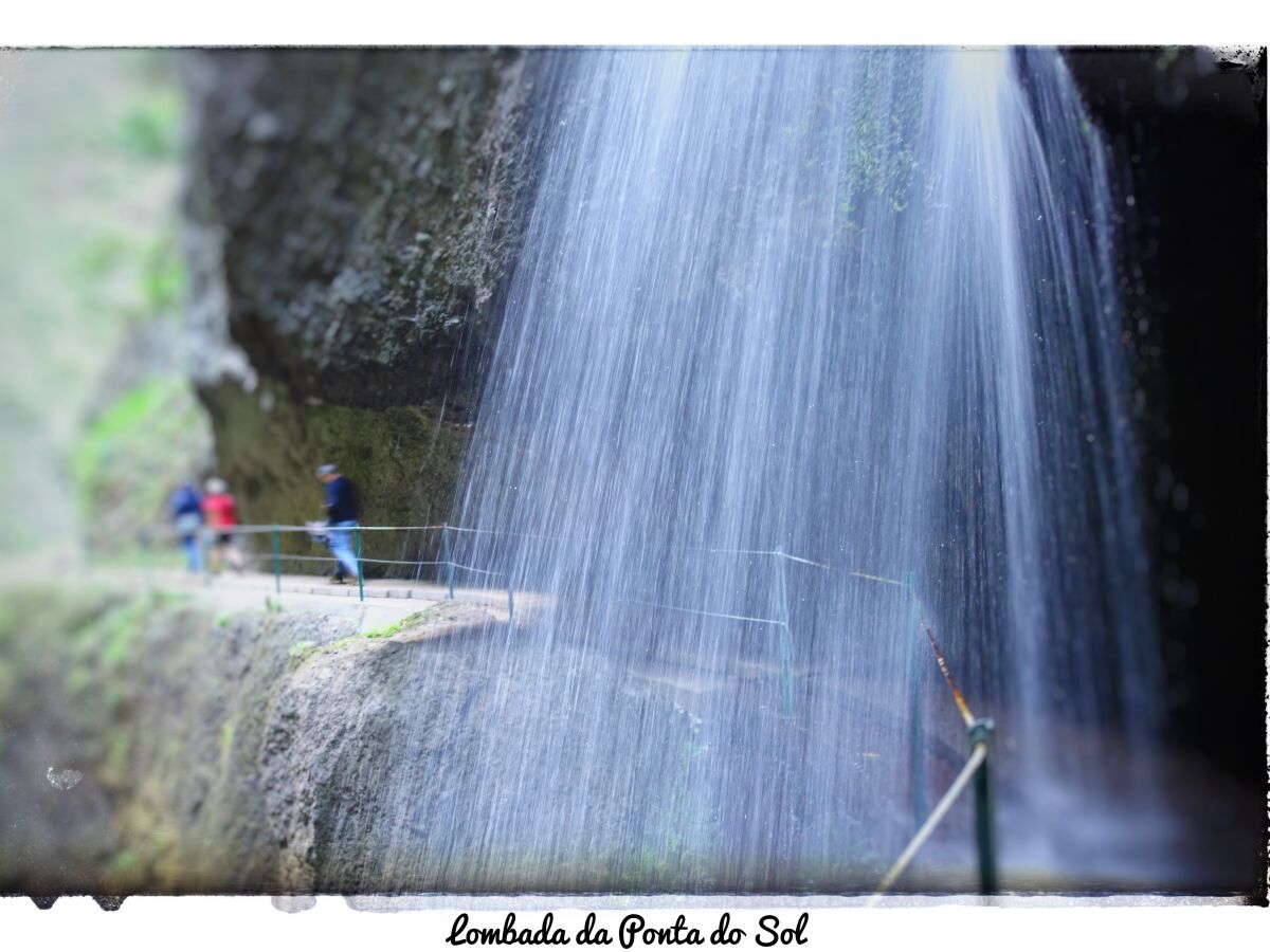 Levada in Ponta do Sol