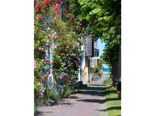 Ferienwohnung Olpenitz Außenaufnahme 11