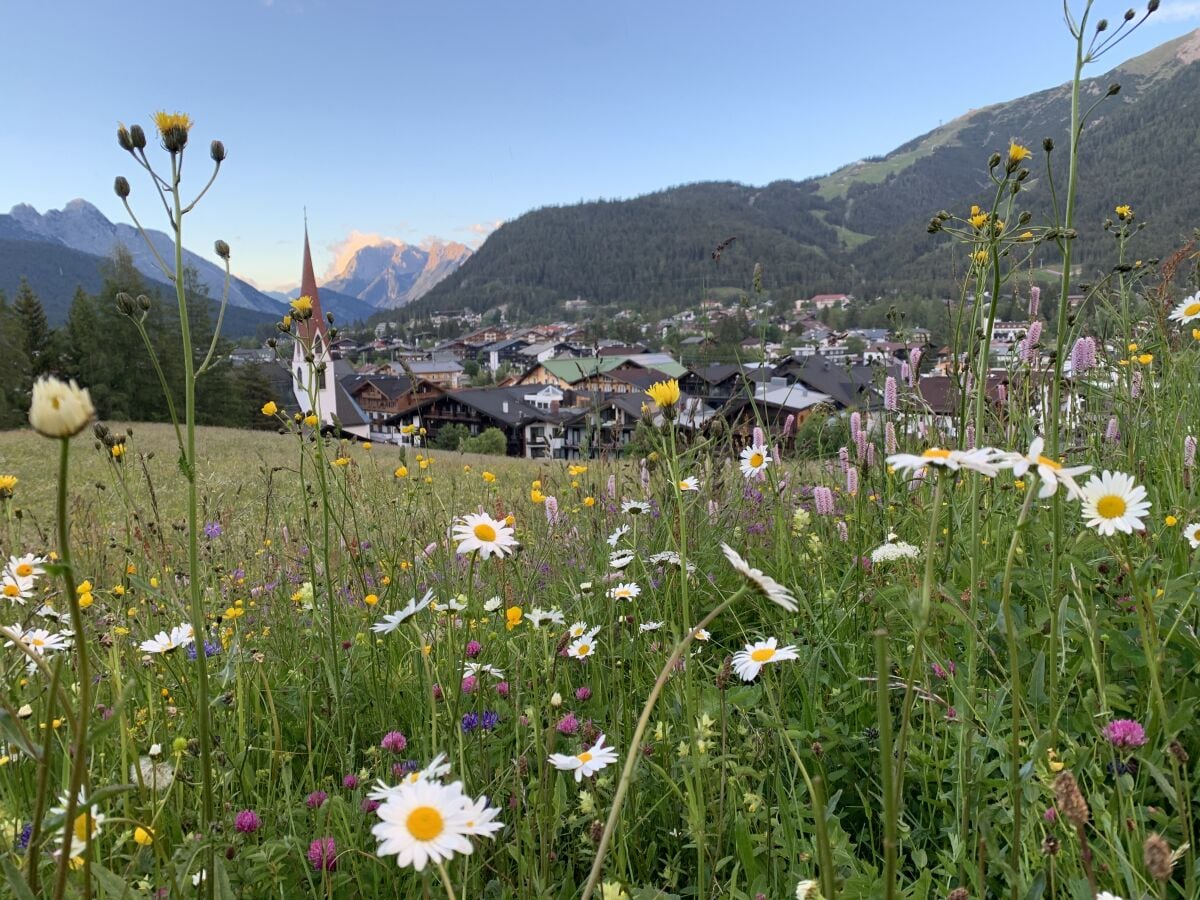 Seefeld im Sommer