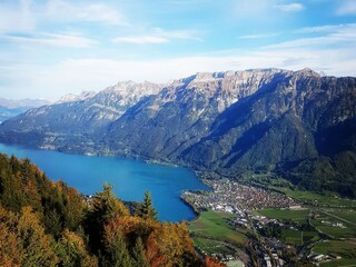 Chalet Beatenberg Environment 25