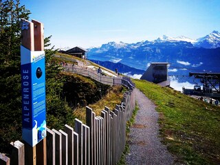 Chalet Beatenberg Environment 27