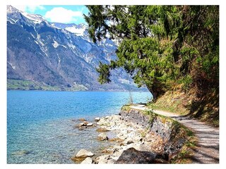 Chalet Beatenberg Environment 28