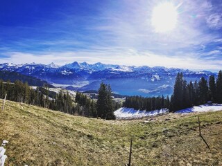 Chalet Beatenberg Environment 29