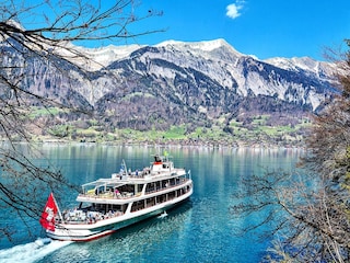 Chalet Beatenberg Environment 31