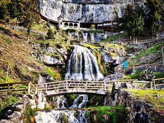 Chalet Beatenberg Environment 32