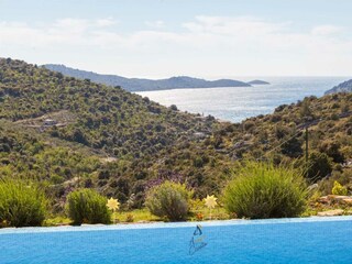 Appartamento per vacanze Brtonigla Ambiente 67