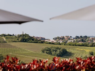 Appartamento per vacanze Brtonigla Registrazione all'aperto 26