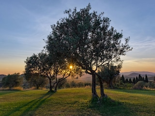 Vakantiehuisje Castellina Marittima Buitenaudio-opname 13