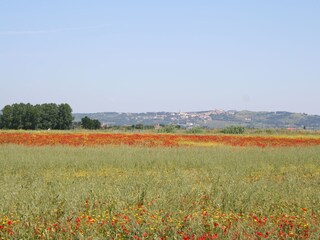 Casale Castellina Marittima Ambiente 27