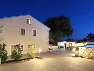 Villa Kornić Registrazione all'aperto 5