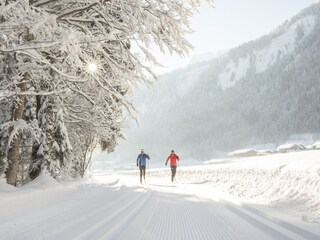 Appartamento per vacanze Au in Vorarlberg Ambiente 12